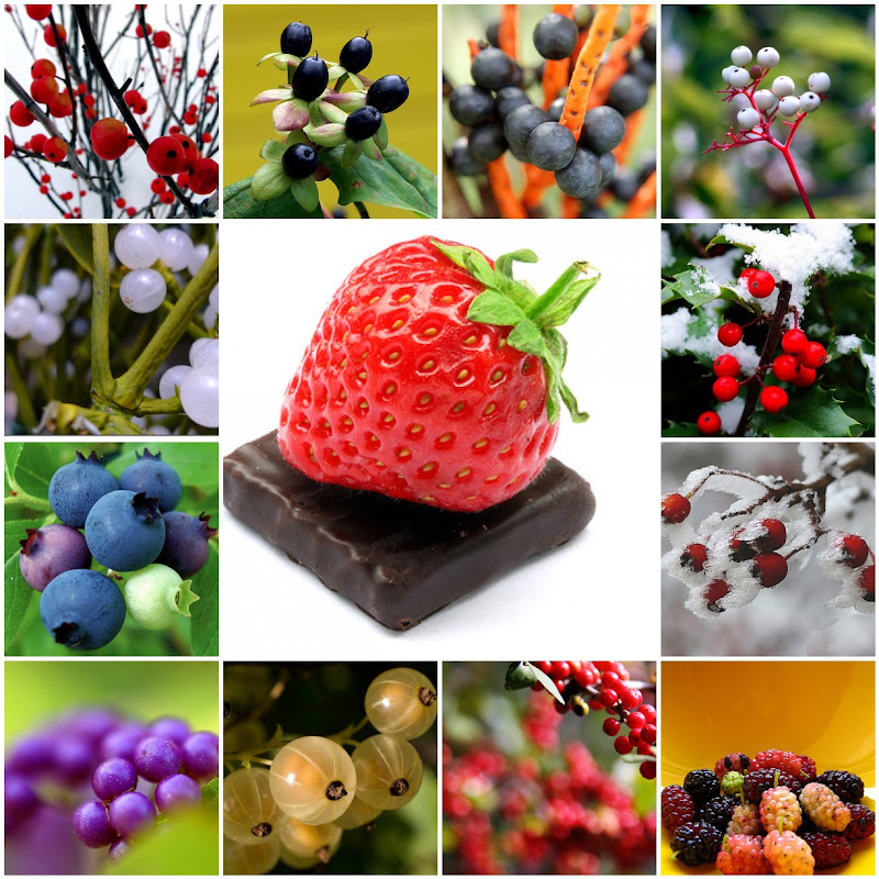 Assorted Berry Photo Mosaic