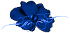 lf310.png