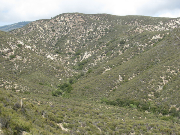 The low rolling of the hills on upstream.