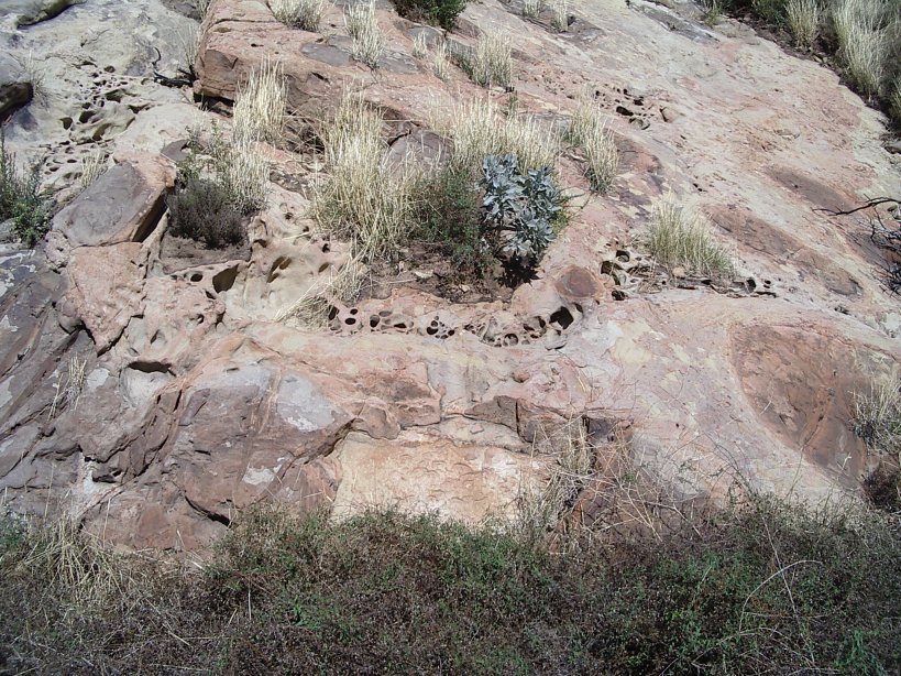 sandstone pitted by weather to a lacy appearance