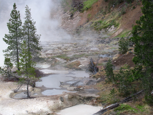 Puddles of steaming mud at the upper end of the lake.