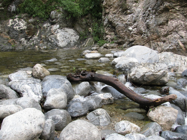 A branch smoothed and poised upon some rocks at the far end of the waterfall's pool.