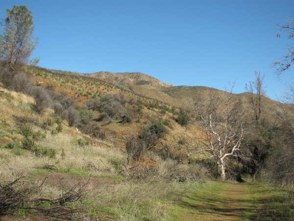 A bit of trail and the hills beyond.