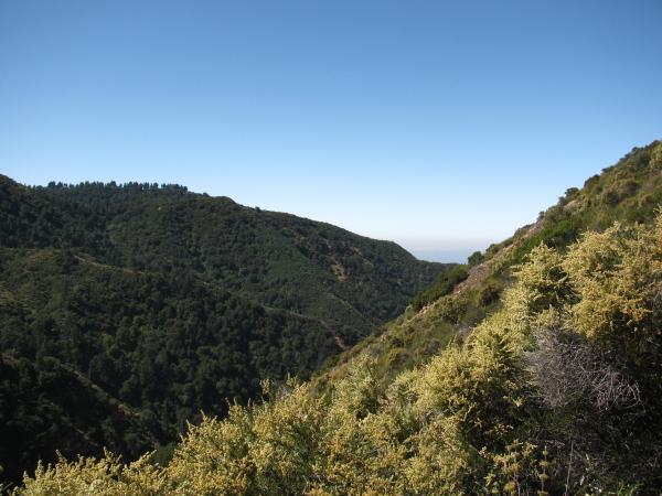the view along the 'line' of the canyon