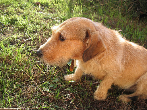 Veronika%20fot%C3%B3i%20017.jpg