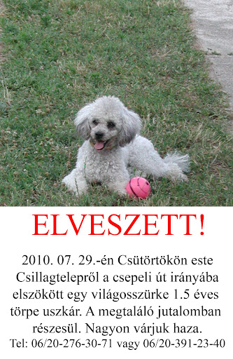 buksicsepel.jpg