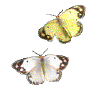 .png