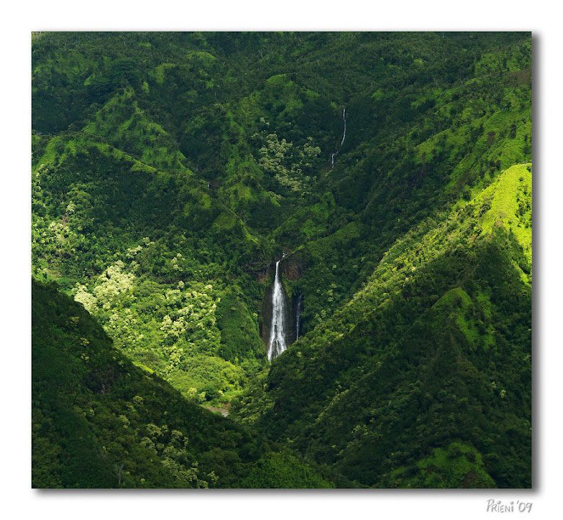 Comment Image