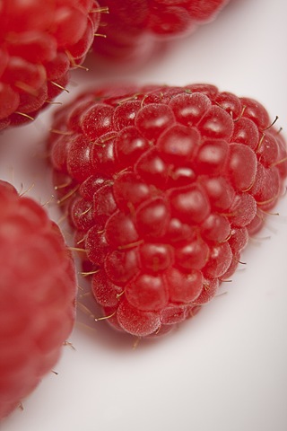 [Raspberries 20 Weeks 007sharp[3].jpg]