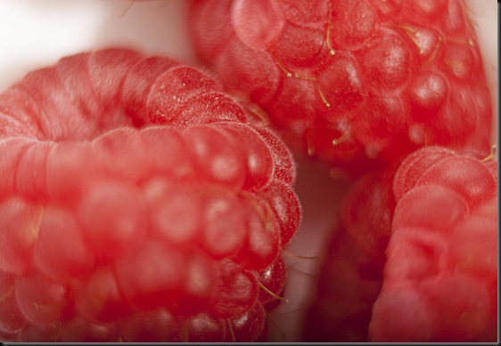Raspberries 20 Weeks 025