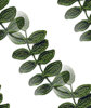 [0_5593a_422f09e_XS[3].png]