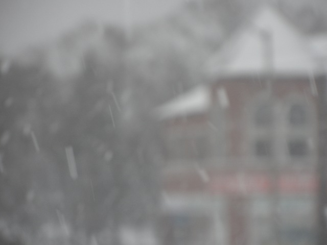 [SNOW (4)[3].jpg]