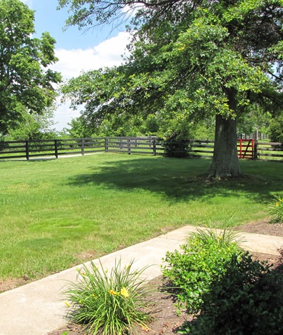 [fireplace 025[5].jpg]