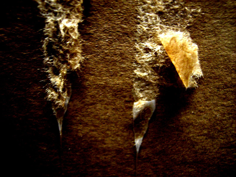 PICT3269.JPG