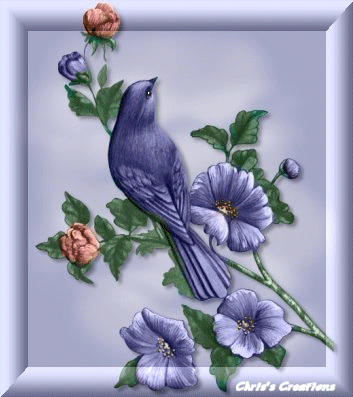 57992758715BLUEBIRDS.gif