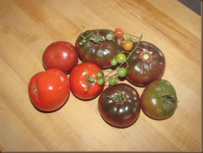 My tomato crop2