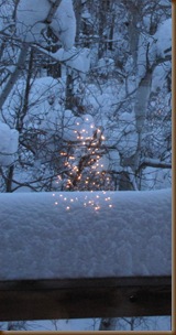 Christmas Tree REflection