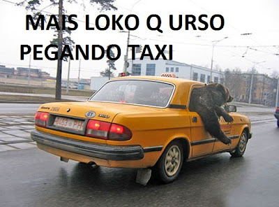 lokok.jpg