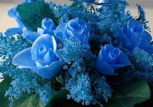 rosa%20azul.jpg
