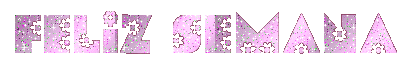 FS4.gif