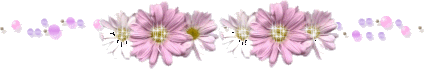 zm2.png