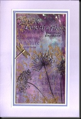 flowers remounted flowers remounted