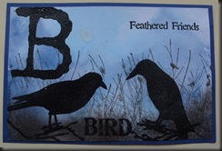 B is for Bird
