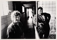 Groot rundveebedrijf