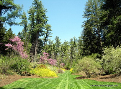 A vista in the Spring Garden
