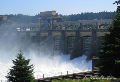 The Columbia River boils through the release gates at Bonneville Dam
