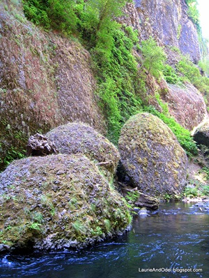 Mossy boulders along the creek.