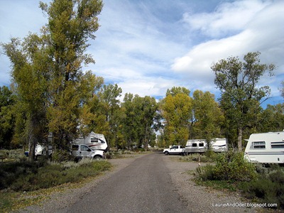 Typical campground road