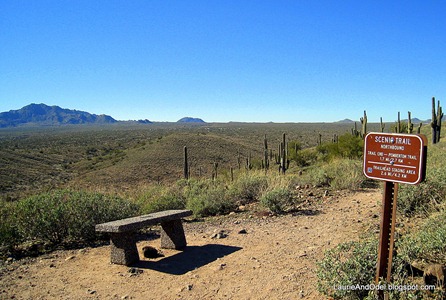 Scenic Trail bench