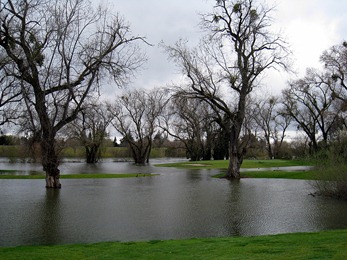 Flooded golf course