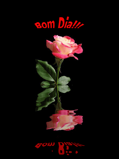 boa.gif