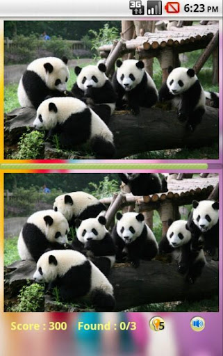 Panda Bear Find Difference