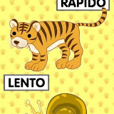rapido.jpg