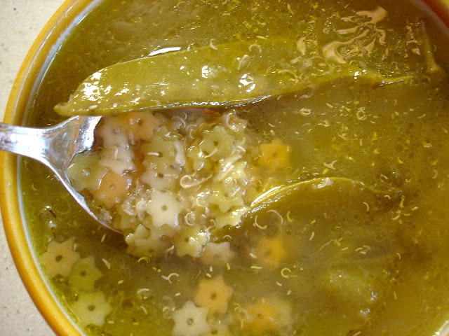 sopa007.JPG