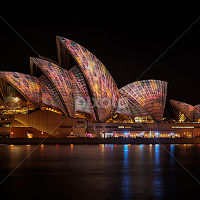 Sydney Opera House by Jim Merchant - Buildings & Architecture Statues & Monuments