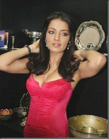 1Celina Jaitley  hot pictures250510