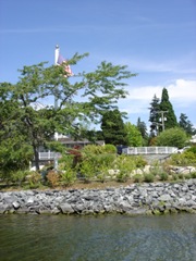 [Bellevue & It's Lakes 186[2].jpg]