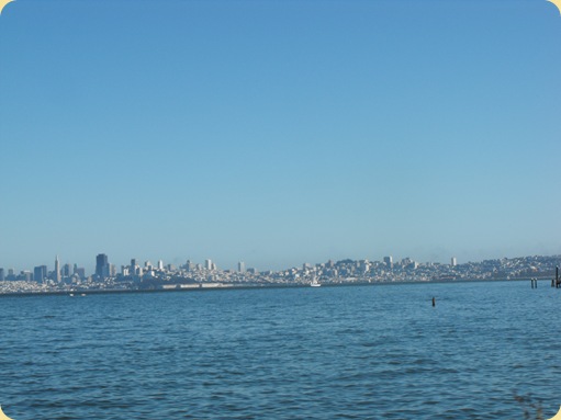 More of San Francisco 174