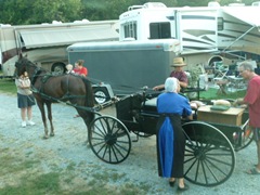 [Amish Visit to Park 016[2].jpg]