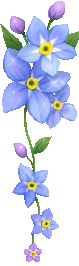 s8.png