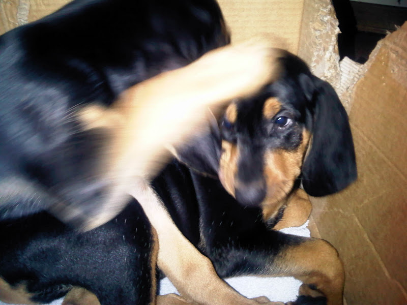 IMG00014-20101004-2227.jpg