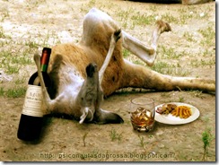 Kangaroo Funny Photoshop by mrm