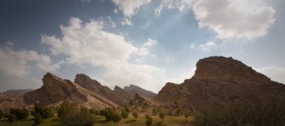 Al Aain Oasis