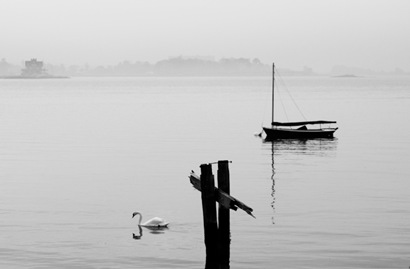 Swan and Sailboat in the Mist - 2