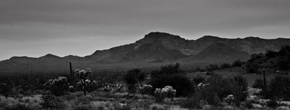 Desert Mountain Panorama on Organ Pipe Cactus National Monument