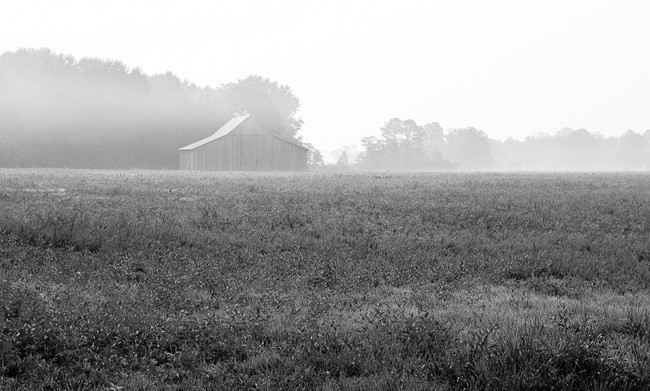 Barn in the Fog